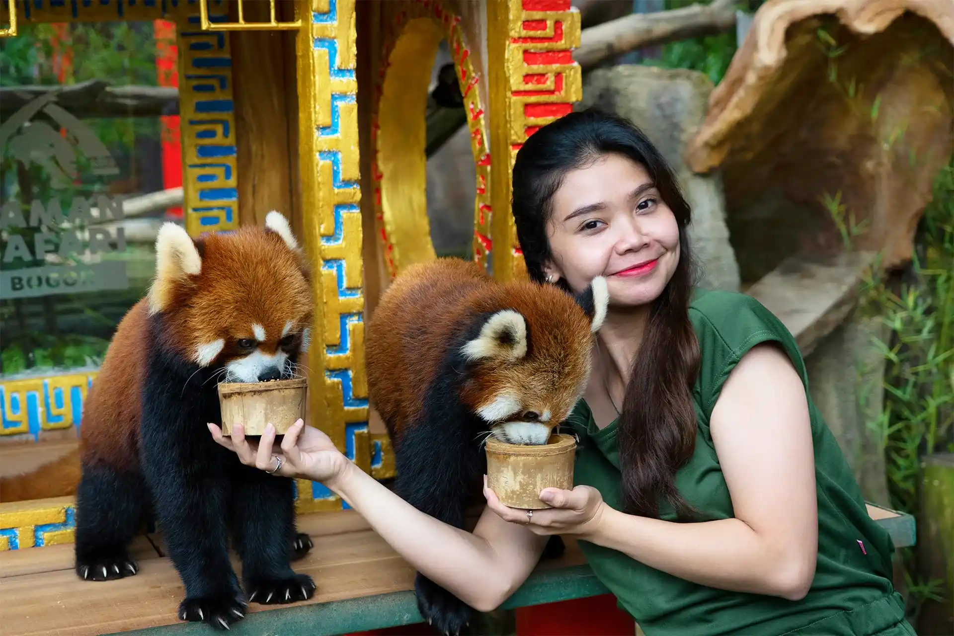 Taman Safari Panda