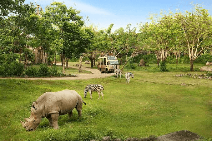 Taman Safari Wildlife