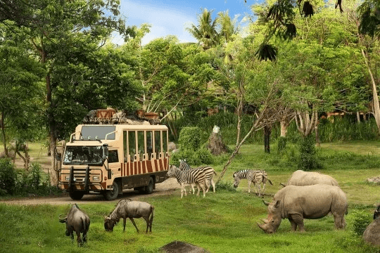 Taman Safari Corporate Culture