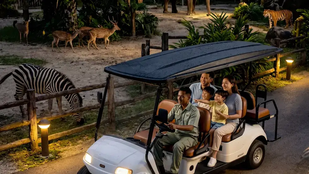 Night Safari Adventure: Experiencing Taman Safari Indonesia After Dark